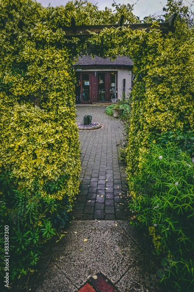 Obraz green bush archway