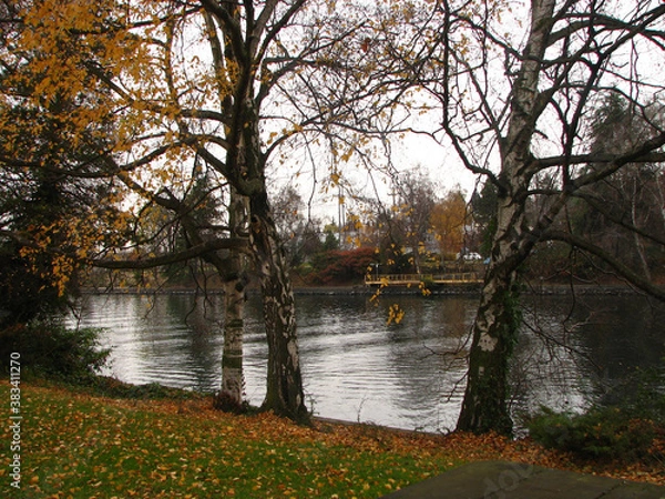 Obraz 晩秋の運河