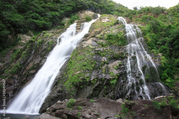 Fototapeta 大川の滝