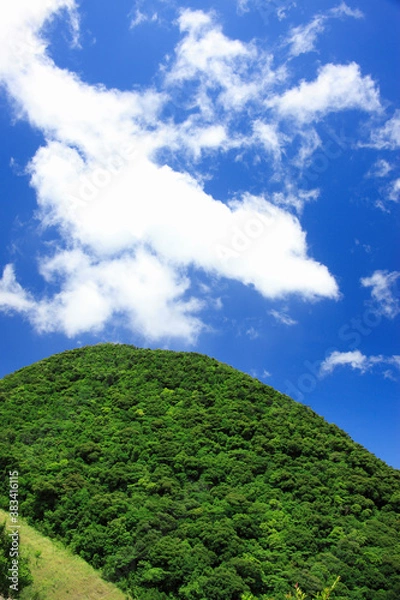 Fototapeta 屋久島の海と山