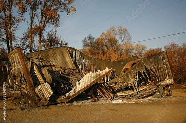 Fototapeta What's Left after the Fire