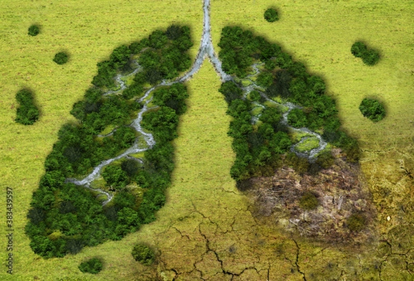 Obraz Forest in a shape of lungs - deforestation and global warming concept