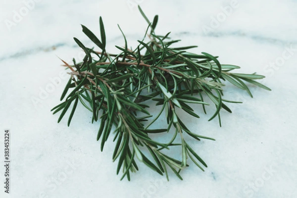 Fototapeta Heap of fresh rosemary, closeup image of isolated plant on surface.
