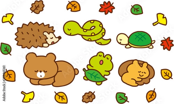 Fototapeta 冬眠する動物たち