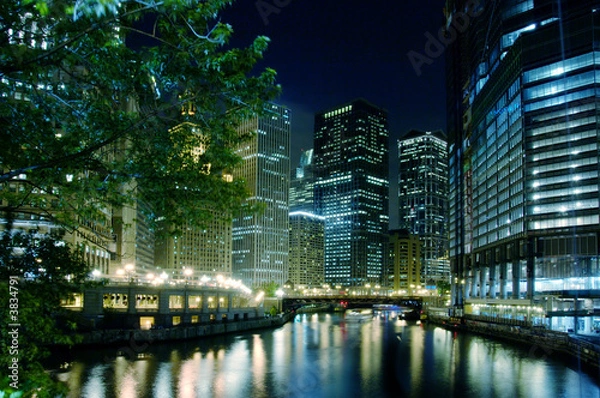 Fototapeta The Chicago River on a summer night.