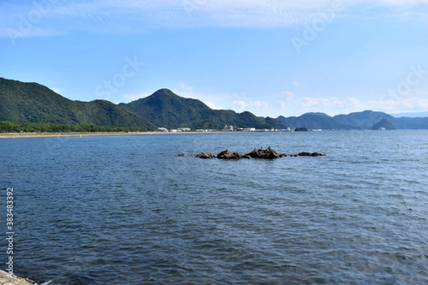 Fototapeta 伊豆の牛臥海岸