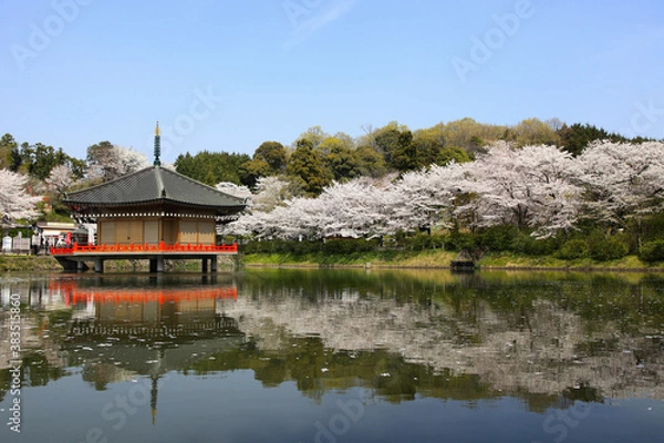 Fototapeta 安倍文殊院