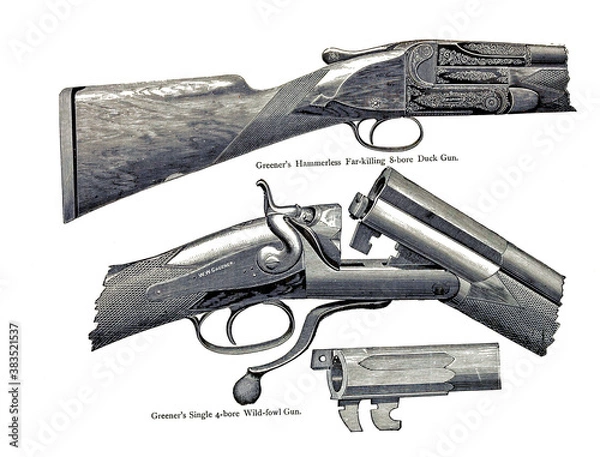 Obraz gun and bullets