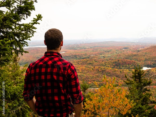 Obraz Back view of a man with a lumberjack shirt admiring the autumnal view in the Mont-Orford national park, Canada