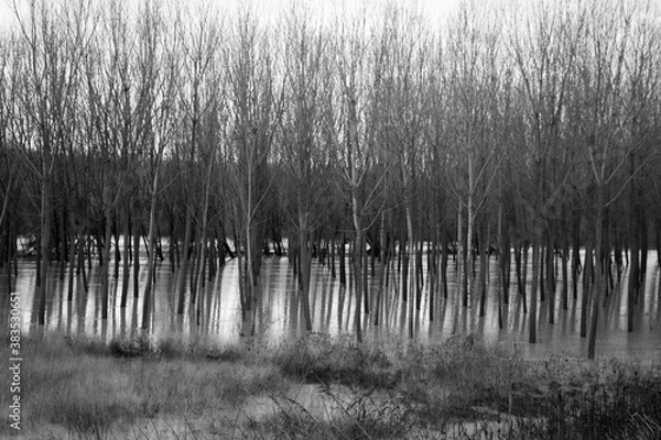 Obraz Po river in Mantova