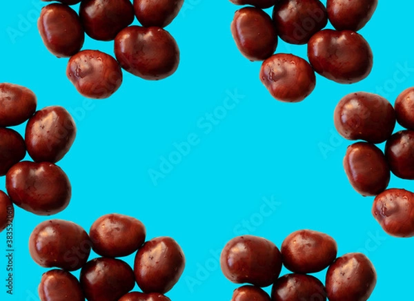 Fototapeta Solid chestnut pattern on blue background with space for your text