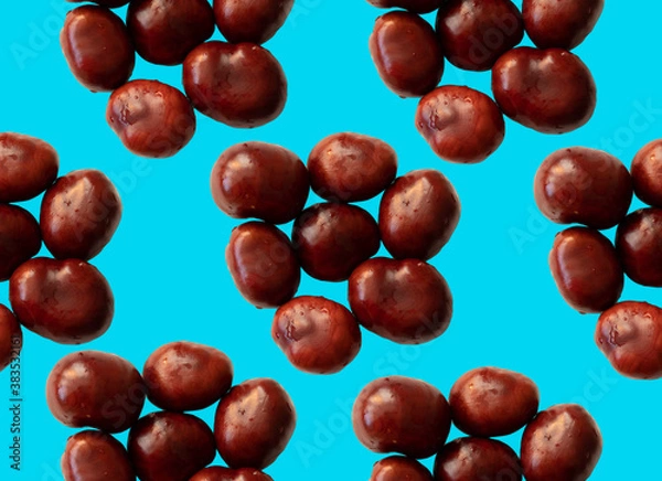 Fototapeta Solid chestnuts pattern on blue background