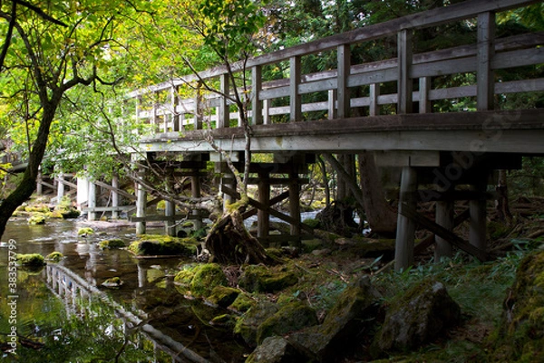 Obraz 日光・湯ノ湖畔　国立公園内にある湯ノ湖一周ハイキング