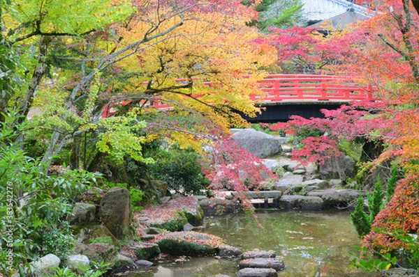 Obraz 秋の宮島の紅葉谷公園の紅葉ともみじ橋