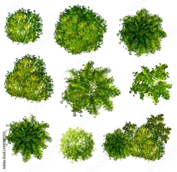 Fototapeta Collection of abstract watercolor green tree top view isolated on white background  for landscape plan and architecture layout drawing, elements for environment and garden.  