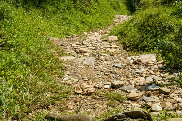 Fototapeta A trekking trail in the mountains, lined with natural stones of various sizes, going among the green bushes