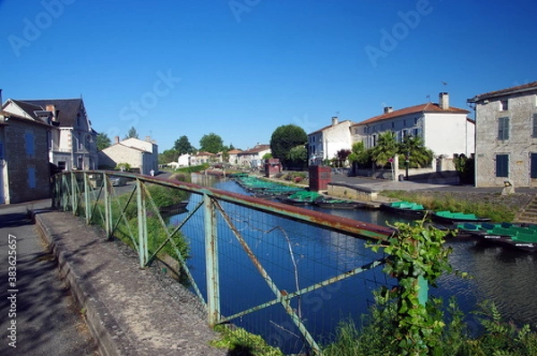 Obraz coulon -vensie verte