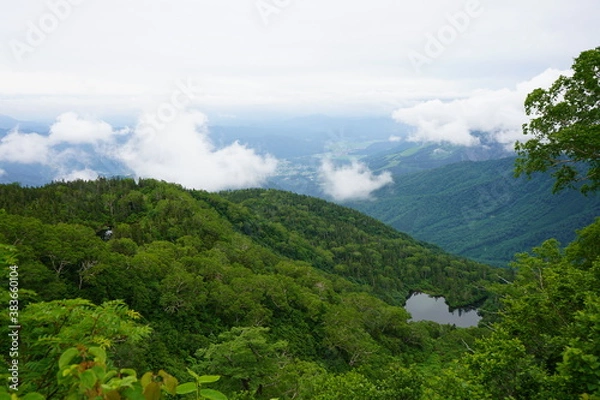 Fototapeta 山　白馬　夏　ハイキング　トレッキング　栂池　長野　風景