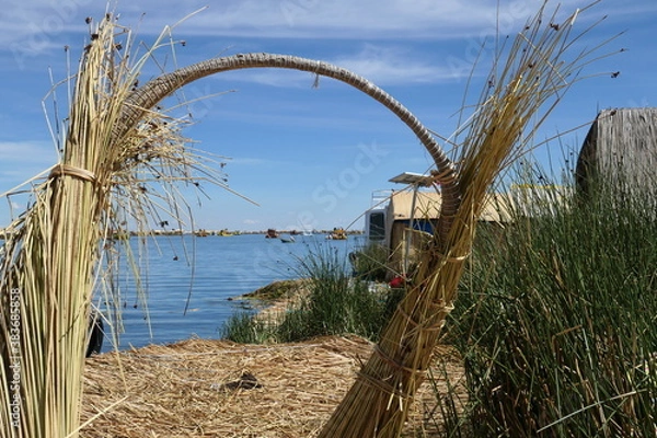 Obraz corn on the beach in summer