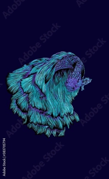 Obraz fighting fish fantasy color