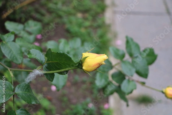 Obraz Москва в октябре