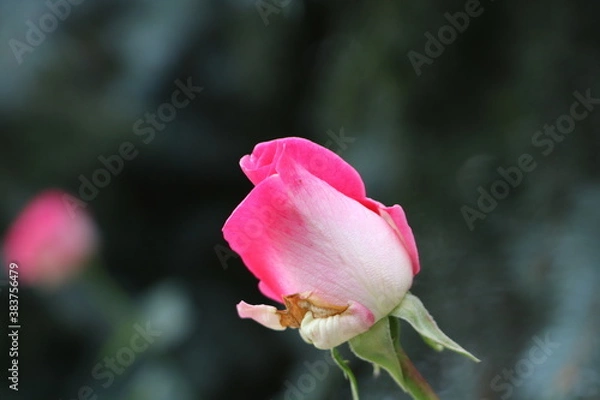 Obraz Москва в октябре