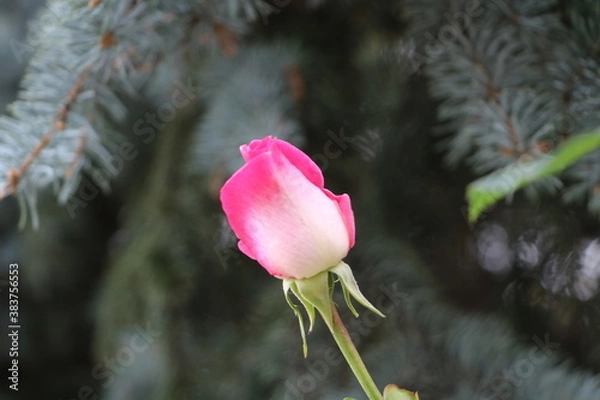 Obraz Москва в октябре