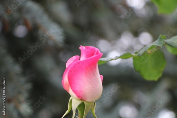 Obraz Москва в октябре