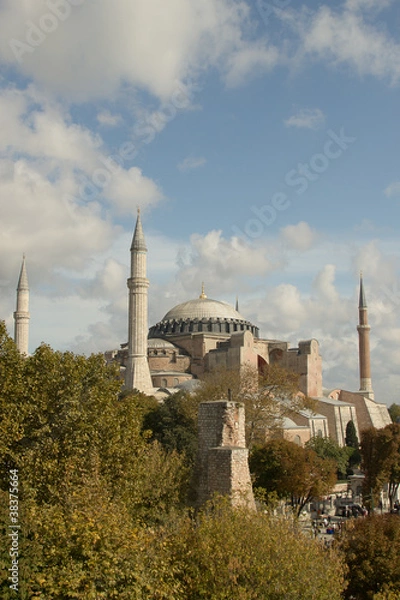 Fototapeta Hagia Sofia in Istanbul -  picture in vertical position