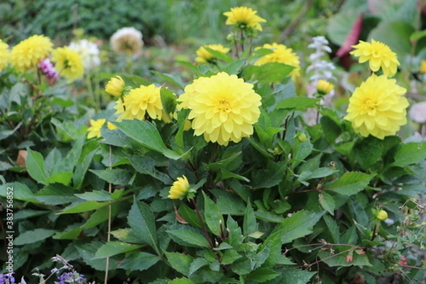 Obraz Москва в октябре