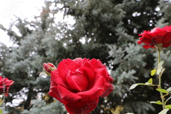 Obraz Москва в октябре