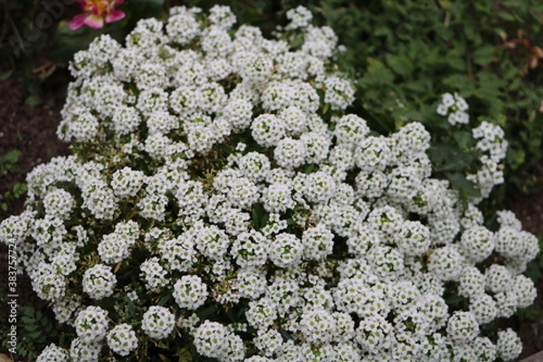 Obraz Москва в октябре