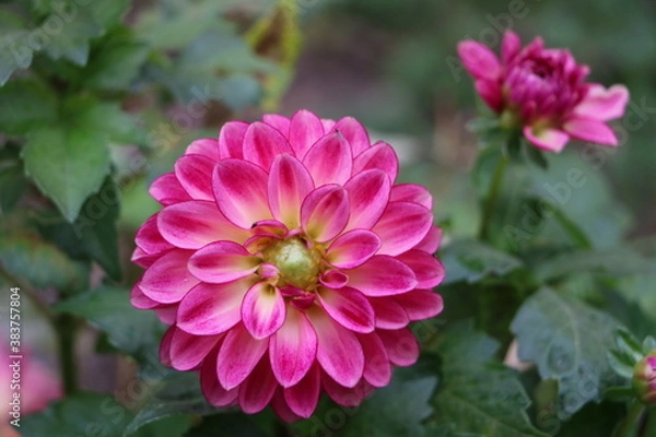 Obraz Москва в октябре