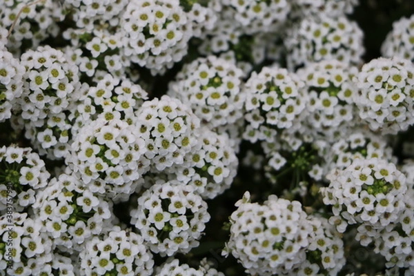 Obraz Москва в октябре