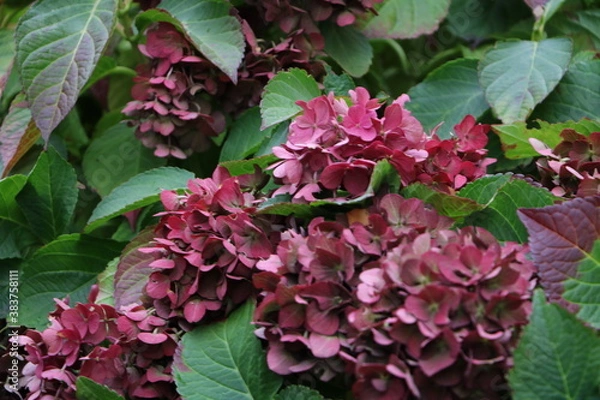 Obraz Москва в октябре