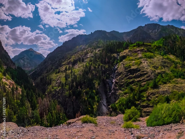 Obraz Mountain Forest