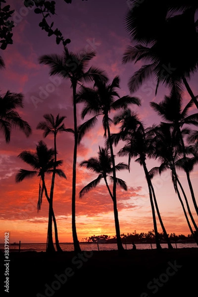 Obraz Kailua-Kona Sunset
