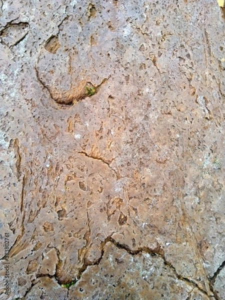 Fototapeta stone texture