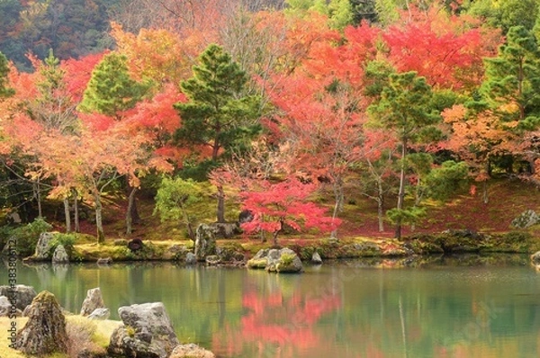 Obraz 秋・紅葉の京都 天龍寺