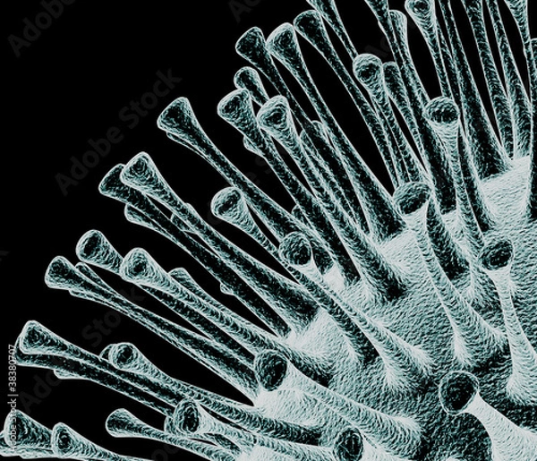 Obraz Virus