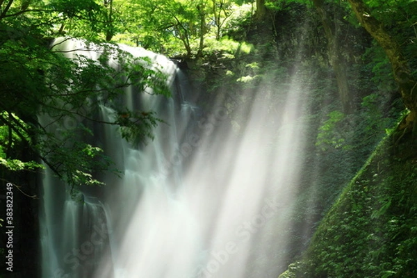 Fototapeta 夏の亀田不動滝