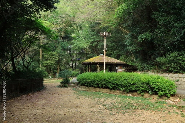 Obraz 雌滝　布引の滝　兵庫　日本