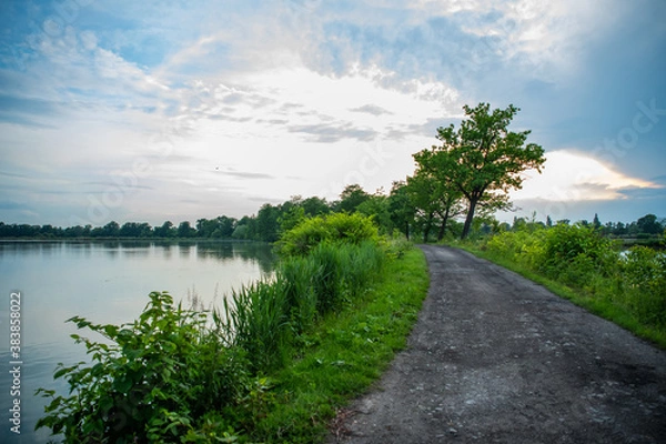 Obraz Droga przy stawach