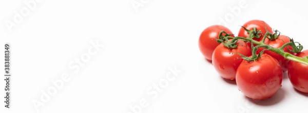 Obraz Panorama bakground wiht small tomatoes