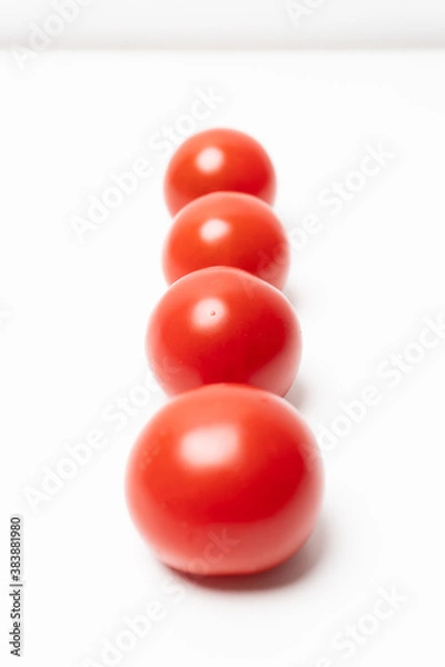 Fototapeta A line of small and tasty tomatoes