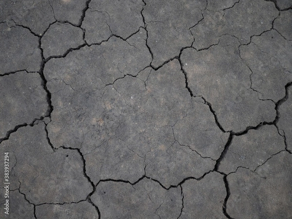Fototapeta Surface of a grungy dry cracking parched earth for textural background.