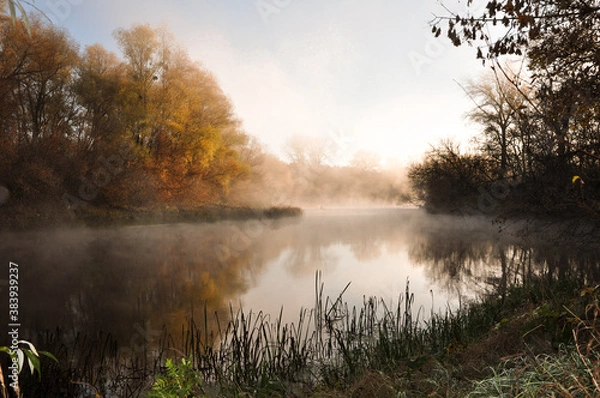 Fototapeta Waterfall Photography. Green Autumn Image. Gold Hazy Forest. Golden Bright Mountainscape. Orange Natural View. Autumn Decoration. Amazing Landscape. Abstract Banner.