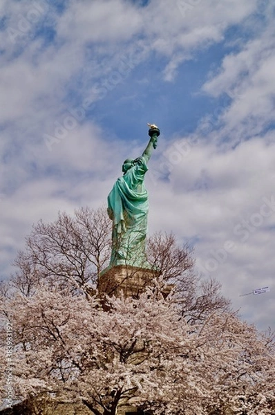 Obraz liberty statue 