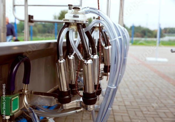 Fototapeta Milking machine elements, milking equipment