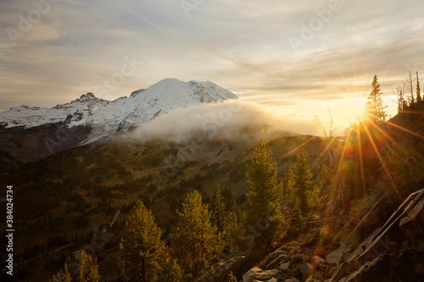 Obraz The majestic Mt. Rainier towers over the landscape of the mt rainier national park in washington state. Stunning scenery everywhere you look